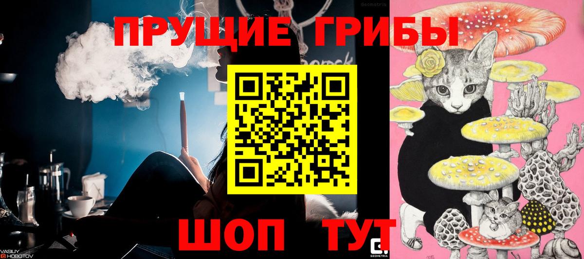 Псилоцибиновые грибы Psilocybe  где найти   Людиново  Вход с VPN  Галлюциногенные грибы Psilocybine cubensis 